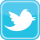 twitter icon
